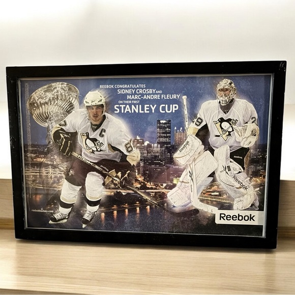 Pittsburgh Penguins 2009 Stanley Cup Reebok Framed Poster Fleury/Crosby NHL - Picture 1 of 4
